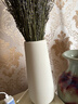 枔北 陶瓷花瓶花艺装饰摆件 日式轻奢高级感插花水养瓷器客厅装饰品 思慕白色大号花瓶(高约27厘米) 尺寸参考详情 实拍图
