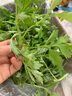 旷古农业艾草新鲜 艾草叶嫩艾蒿 青团蒿子粑粑清明果蔬菜食材 健康轻食 1kg（2斤） 实拍图