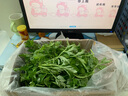 旷古农业艾草新鲜 艾草叶嫩艾蒿 青团蒿子粑粑清明果蔬菜食材 健康轻食 1kg（2斤） 实拍图