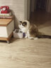 小甜橙猫咪饮水机无线不插电流动水宠物自动循环喝水器狗狗 2600毫安 晒单实拍图