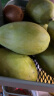 越南青芒果新鲜水果 应季孕妇水果现摘热带水果 9斤带箱(净重8.5) 大果单果300-400g 晒单实拍图