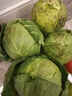包菜新鲜卷心菜大头菜农户自种当季绿叶蔬菜绿甘蓝 绿甘蓝 8斤 实拍图