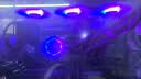 科乐浦（KELEPU）主板ARGB控制线5V三针转接线 集线器 5V3针延长线 一分一 50cm 实拍图