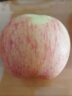 沙窝曙光陕西洛川红富士苹果水果新鲜脆甜冰糖心时令应季丑苹果水果礼盒 带箱5斤大果装  （净重4.5-5斤） 实拍图