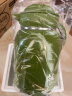 爱仕达（ASD）保温壶家用塑玻热水保温瓶大容量暖水壶1.5L复古绿RWB15P8WG-G 实拍图