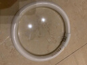 羿丰（LIGHTING）吸顶灯环形圆形三基色光源白光环型荧光节能灯管 T5-22W 外直径18.0cm 白光 实拍图