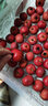 涑淇源鲜山楂山楂果大金星大五棱山楂鲜摘现发新鲜山楂 泡膜箱包装3斤山楂 实拍图
