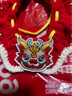 嬉皮狗新年项圈宠物挂饰小猫咪狗狗项链脖圈围脖围巾脖饰颈圈喜庆装饰品 春龙抬首；M中号 实拍图