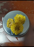 贡苑花草茶金丝小皇菊【约120朵】徽州皇菊黄菊特优级菊花养生茶叶35g 实拍图