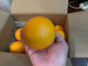 京鲜生 埃及进口橙子  8斤礼盒装   单果180g+  源头直发 一件包邮 实拍图