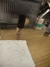 晨光（M&G）文具0.5mm热可擦墨蓝按动中性笔替芯 ST超精细签字笔芯 学生商务办公替换水笔芯 10支装9602B1 实拍图