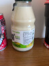 养味（yanwee） 养味网红学生早餐果味奶多种口味220g/瓶冷热皆宜 芒果味 6瓶 实拍图