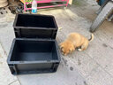 黑色周转箱长方形防静电塑料胶箱工厂车间周转物流箱框加厚养龟 小号单箱外尺寸30*20*15cm 实拍图