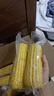 京鲜生 东北黄玉米260g*10棒 真空包装黏玉米棒粘玉米 源头直发 实拍图