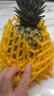 沃鲜谷【顺丰】芒果凤梨 树上熟 非金钻凤梨菠萝  香甜多汁 新鲜水果 8-9斤 大果4个 实拍图
