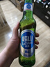崂山啤酒（laoshan beer）精品经典 316ml*24瓶 青岛崂山啤酒 传统工艺酿造 316mL 24瓶 整箱装 实拍图