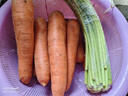 京喜加新鲜现挖现发胡萝卜农家自种蔬菜水果沙地红萝卜 带泥胡萝卜1斤 含箱 实拍图