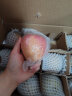 陇百味新鲜山西冰糖心苹果红富士当季时令水果脆甜整箱 10斤彩箱装单果75-80mm 晒单实拍图