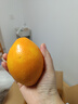 玖原农珍 赣南脐橙当季现摘橙子净重9斤优选果单果150-220g 新鲜水果礼盒 实拍图