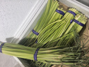 京鲜生山东红帽蒜苔净重5斤粗细适中色泽饱满蒜薹 源头直发 实拍图
