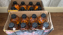 中沃（ZHONGWO）26年新货中沃体质能量1升血橙菠萝番石榴百香果牛饮整箱装 牛磺酸原味（7月新货） 1升*16瓶 实拍图