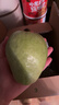 奶油即食芭乐黄心芭乐 超级软糯香甜  送酸梅粉新鲜水果 3斤装（4-8个果） 实拍图