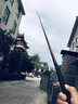 细硬峰细硬峰志在千里鲫鱼竿鲫鲤小综合鱼竿手竿原苍龙鲫紫金钓鱼竿手杆 4.8m （鲫鲤小综合竿） 实拍图