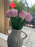 京东鲜花ins郁金香10支仿真花高档装饰假花保湿手感拍照摄影道具手捧花束 实拍图
