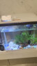 SICCE鱼缸懒人鱼缸家用客厅办公室金鱼缸中小型玻璃鱼缸过滤鱼缸 SO-400F（390*190*390） 实拍图
