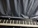 特伦斯折叠钢琴88键便携式电钢琴成人儿童电子琴重力度键盘V30pro家用 炫酷黑+专用琴包 实拍图