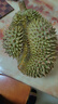 榴恋莱新鲜泰国进口金枕榴莲水果鲜榴莲时令 巴掌新鲜榴莲水果 精选5-6斤装（1-2个） 实拍图