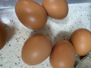 谷物鲜鸡蛋 农户散养新鲜鸡蛋 单枚40g±5 10枚（40克/枚） 实拍图