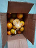 吉果叔 正宗广西茂谷柑 应当季新鲜水果薄皮脏脏柑橘石灰柑橘子整箱 净重4.5-5斤 【中果】果径60-65mm 实拍图