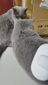 aumuca猫梳子宠物猫毛狗毛梳子祛浮毛神器猫咪梳子长毛猫刷宠物用品 经典白 实拍图