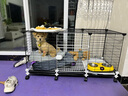 蔻丝狗笼子中小型犬带厕所家用加粗加密宠物幼犬狗狗笼子围栏柯基泰迪 【109*49*57】升级底网加深加高 升级款：脚垫+滑轮+托盘+扎带 实拍图