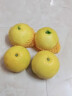 黄金葡萄柚2024年新鲜柚子当季水果福建黄肉蜜柚甜西柚整箱 带箱5斤中果【5-7个】 实拍图