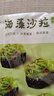 盛源来海藻沙拉220g日式中华海草沙律裙带菜丝海带丝即食寿司露营凉菜 实拍图