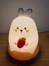 芮八充电小夜灯生日礼物情人节新年送女朋友闺蜜兔子婴儿喂奶床头灯 萌萌兔（充插两用/柔软硅胶） 实拍图