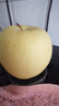 甜醉了 烟台苹果黄元帅粉面苹果黄金帅黄香蕉山东新鲜水果当季整箱鲜果 净重8.5斤85-90mm 实拍图
