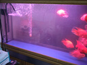 森森（SUNSUN）多功能潜水泵鱼缸上滤用增氧小型水族箱抽水泵三合一过滤器水泵 25W三合一（抽水/增氧/造浪） 实拍图