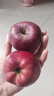 京鲜生  甘肃天水花牛苹果 净重4.5斤装单果100-150g 生鲜水果 源头直发 实拍图