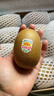 佳沛（zespri）新西兰 阳光金奇异果12粒礼盒特大果单果约122-146g 猕猴桃 水果 实拍图
