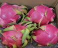 京鲜生越南进口红心火龙果 2个装 巨无霸果 单果600-700g 新鲜水果 实拍图