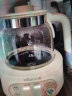 小熊（Bear）全玻璃恒温水壶 婴儿调奶器电热烧水壶 温奶器TNQ-E12X1 1.2L 实拍图