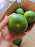 兀果语2025年云南密桔酸桔子当季薄皮橘子孕妇新鲜水果爆汁无核青 4斤 实拍图