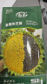 寿禾 食用向日葵花种子粒大饱满瓜子种子庭院 食用向日葵种子约140粒 晒单实拍图