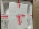 红牡丹景德镇骨瓷饭盘家用陶瓷碗碟釉下彩碗盘餐具骨碟可进洗碗机凉菜盘 云锦万里9英寸饭盘1个 实拍图