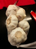 山东金乡蒜大蒜出口标准精选大蒜头蔬菜调料单果5cm 出口标准网兜装箱 455g 5-5.5cm特大 实拍图