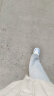鸿星尔克板鞋男春夏季夜光情侣发光高帮滑板鞋舒适软底街头时尚运动鞋 橡芽白/正黑-夜光（女款） 36 实拍图