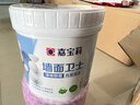 嘉宝莉（CARPOLY）内墙乳胶漆底漆 墙面预防墙体泛碱 净味抗碱封闭底漆墙面卫士1kg  实拍图